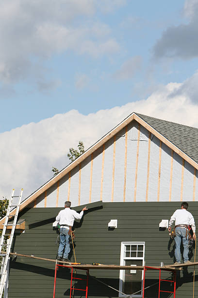 Best Attic Cleanout  in Hlsboro, IL